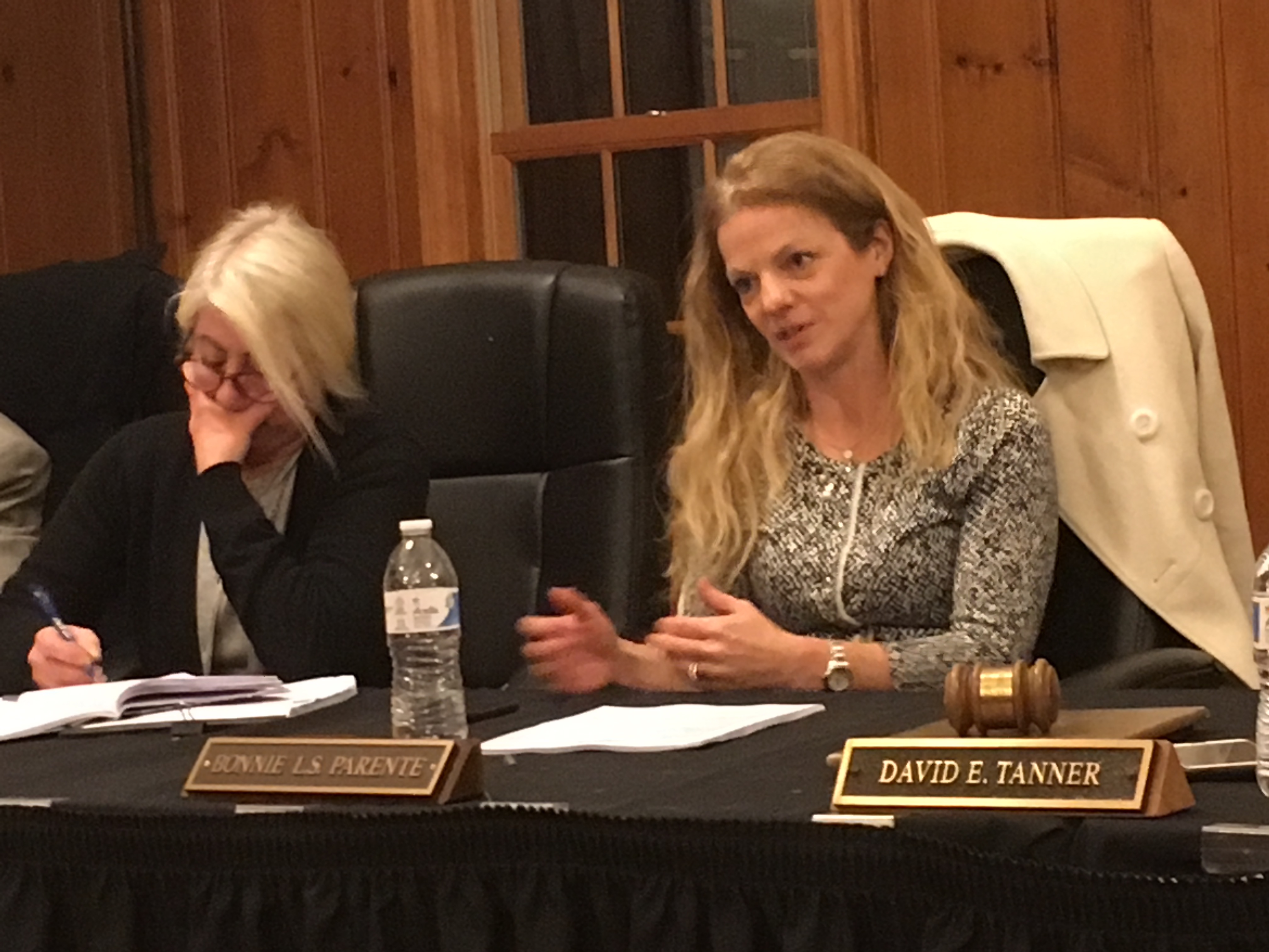 East Williston Deputy Mayor Bonnie Parente announces bid for mayor