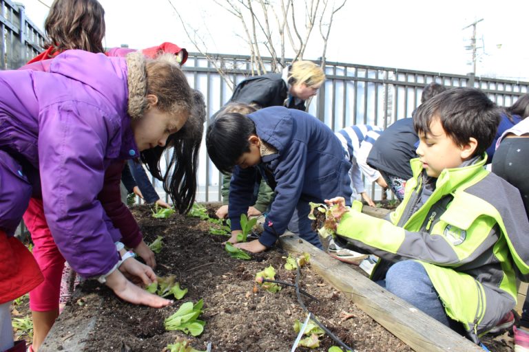 Plant a Row gets kids gardening
