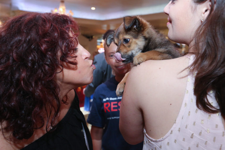 Animal league celebrates ‘Hats Off to Rescue’ Luncheon