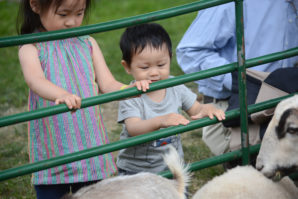 Children gathered to see and try petting a myriad of animals at the petting zoo. (Photo by Janelle Clausen)