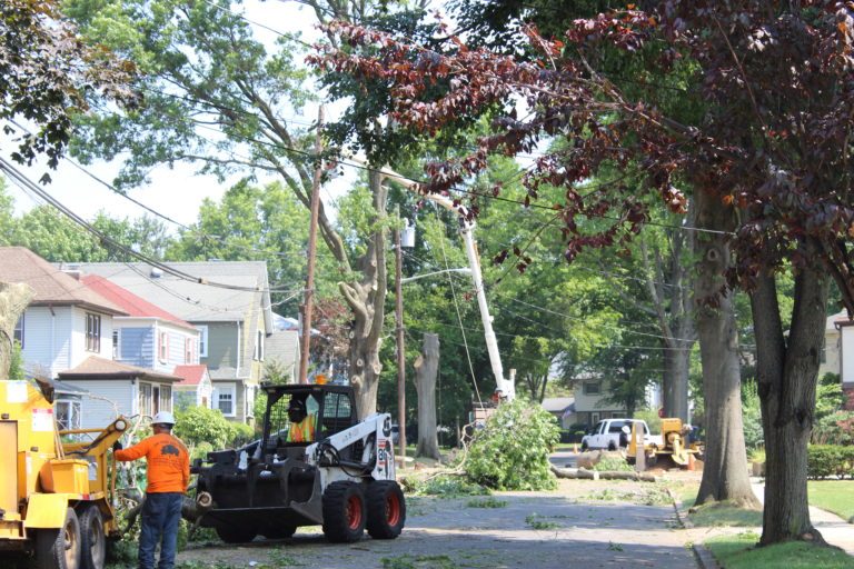 Resident calls Floral Park road reconstruction ‘tree slaughter’