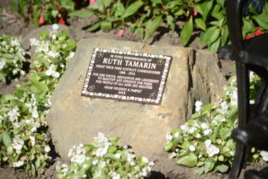 Ruth Tamarin, who served as a park commissioner for more than 15 years, was dedicated to beautifying Great Neck's parks. (Photo by Janelle Clausen)