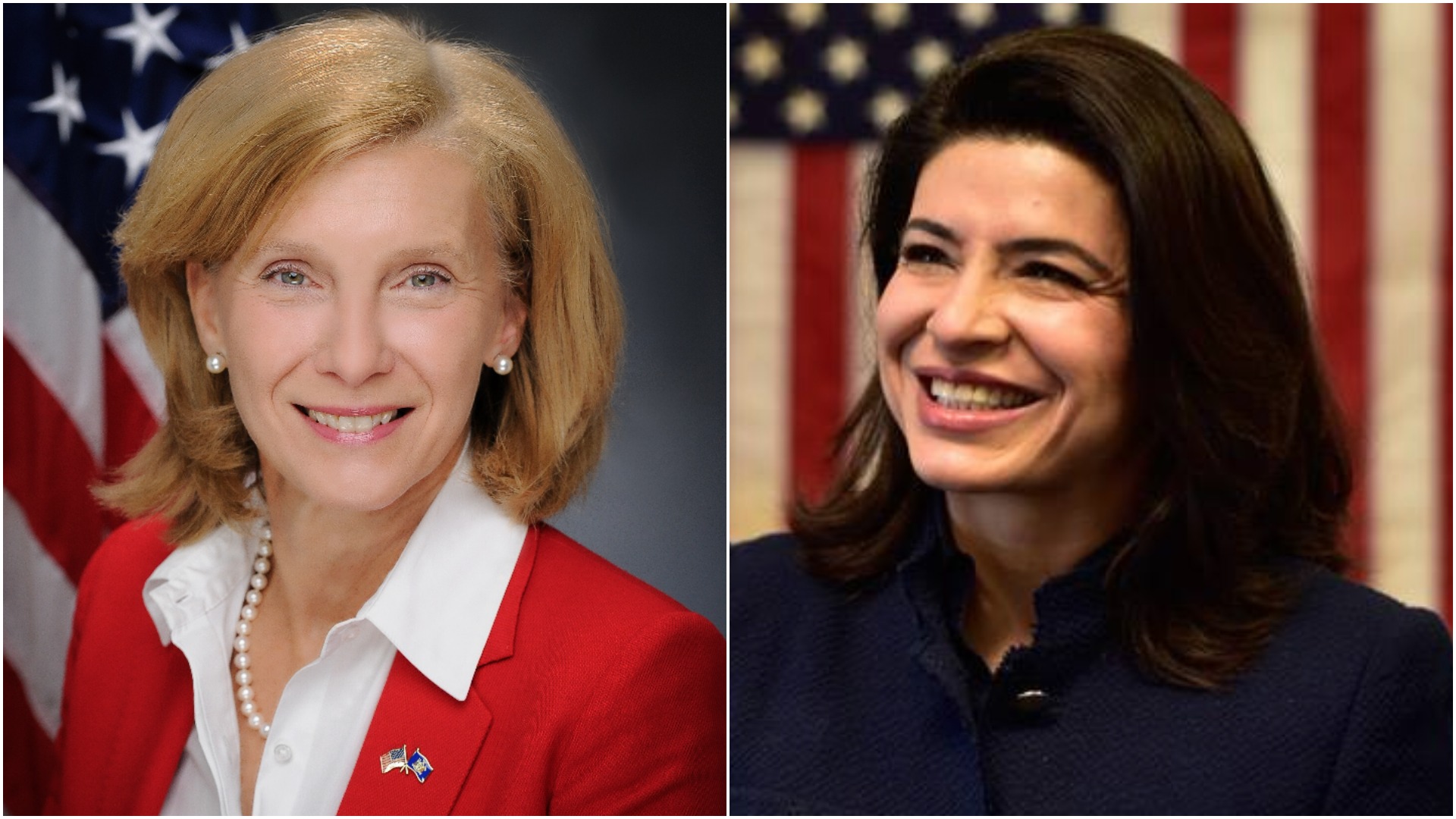 State Sen. Elaine Phillips, left, has out raised North Hempstead Town Councilwoman Anna Kaplan, according to campaign filing records. (Photos courtesy of Elaine Phillips and Anna Kaplan)