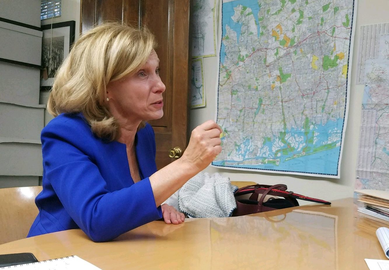 State Sen. Elaine Phillips speaks with Blank Slate Media. (Photo by Janelle Clausen)