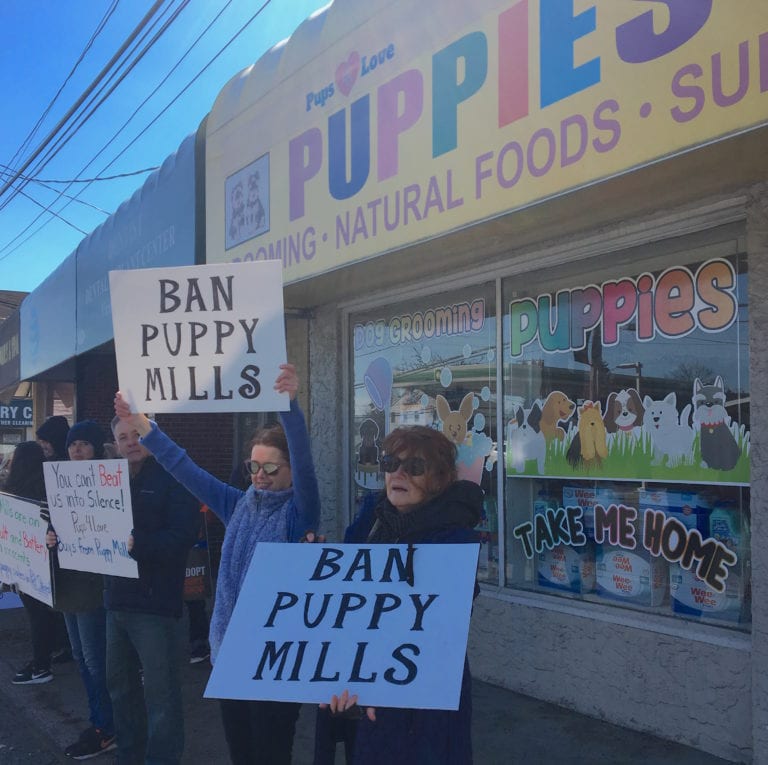 Dozens crowd curb at Pups4Love protest