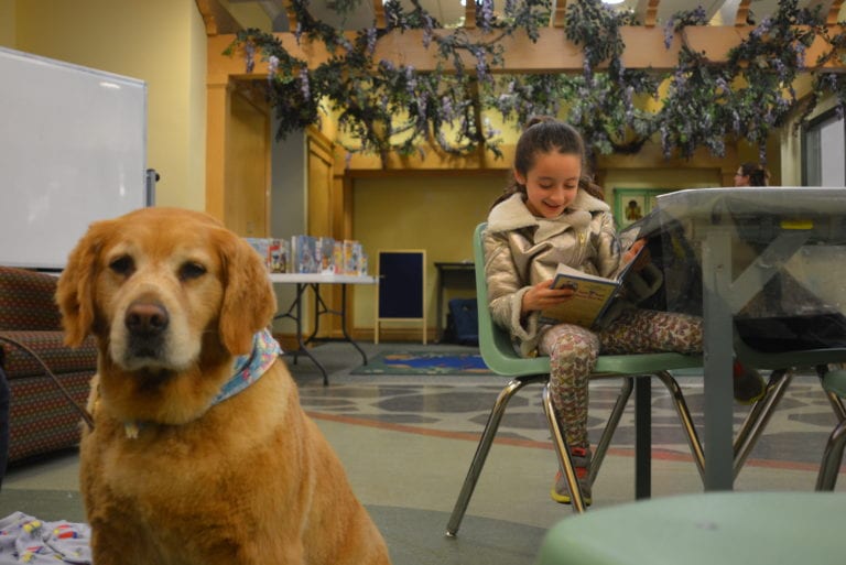 Manhasset Library provides young readers with a patient audience: dogs