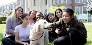 Students pet Barbie, a golden doodle therapy dog, on the North High front lawn after the conclusion of AP exams on May 8. (Photo courtesy of Great Neck Public Schools)
