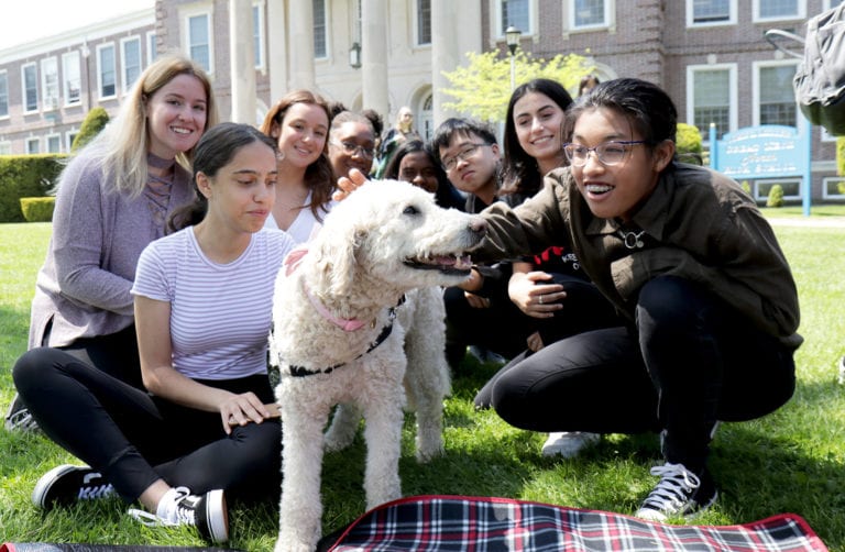 Therapy dogs offer break from exams at North High