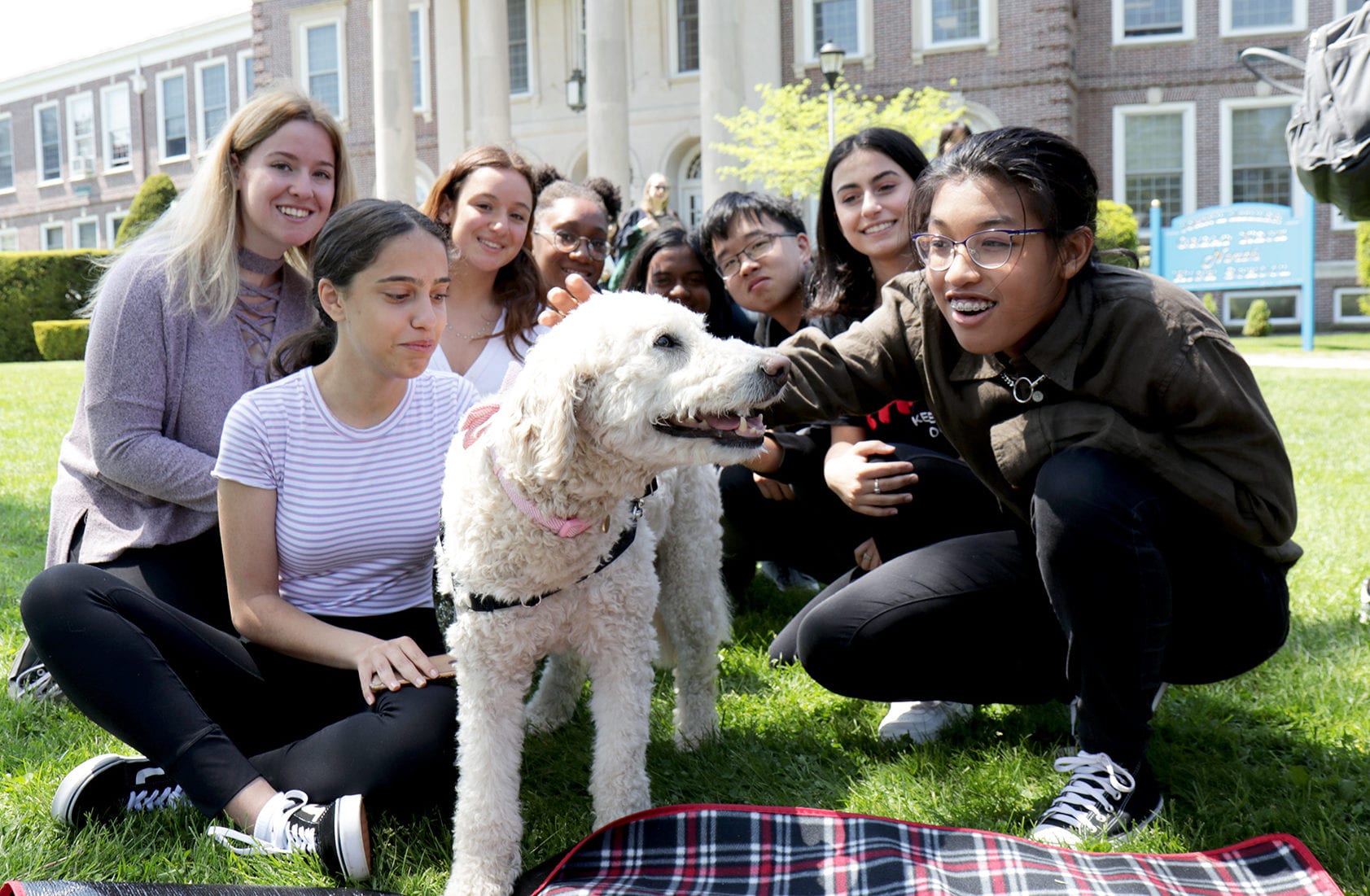 Students pet Barbie, a golden doodle therapy dog, on the North High front lawn after the conclusion of AP exams on May 8. (Photo courtesy of Great Neck Public Schools)