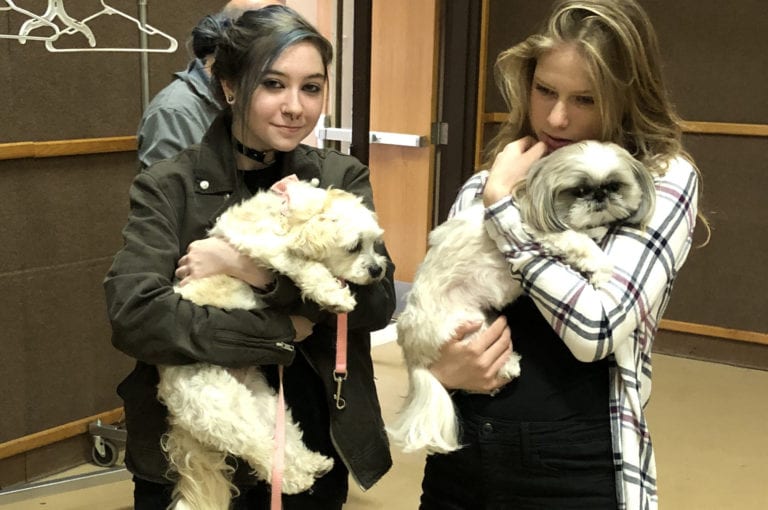 Roslyn students visit with therapy dogs