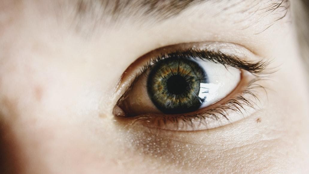 Best Eye Vitamins: Top Eye Health Supplements for Better Vision [2022] – Blog
