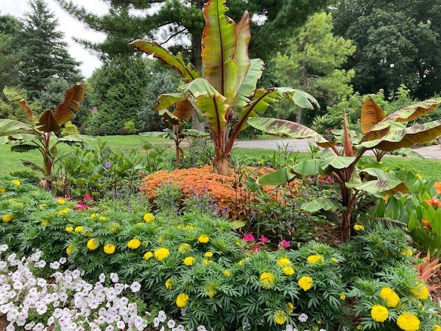 Clark Garden wins honorable mention in All-America Selections Landscape Design Challenge – Community News