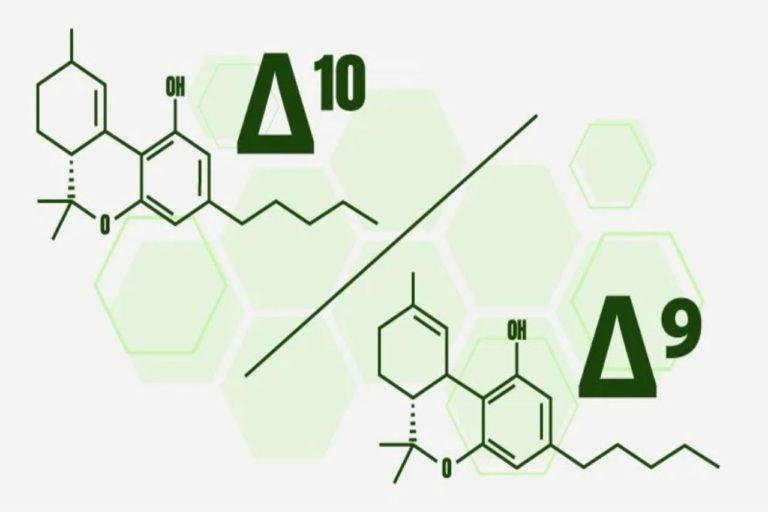 What is Delta 10 THC?