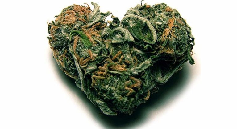 Valentine’s Day Weed Gifts – Valentine’s Sale On Top Rated Weed Brands For Delta 8 And CBD Products