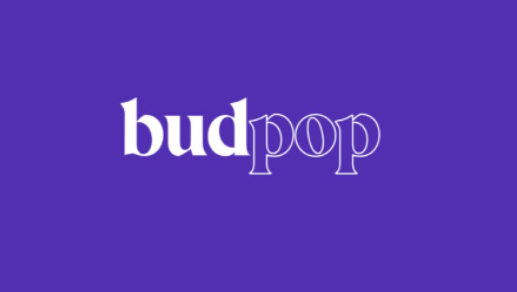 BudPop Hemp Products : 3 Premium Accessories To Buy In 2022