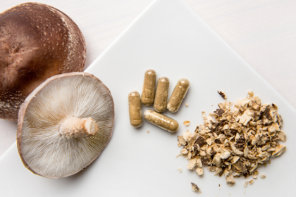 best mushroom supplements - theislandnow