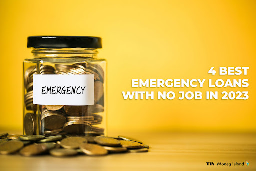 Best Emergency Loans With No Job- theislandnow