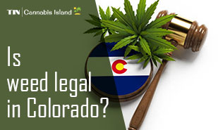 Is weed legal in colorado- a complete guide