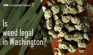 is weed legal in washington- a complete guide