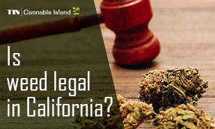 is weed legal in california- everything you need to know