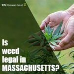 is weed legal in massachusetts?