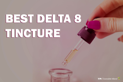 Best Delta 8 THC Tincture - Theislandnow