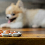joint supplements for dog